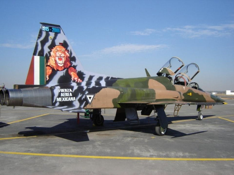 D-039 Northrop F-5F Mexican Air Force Special 91 Years