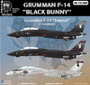 D-086 Grumman F-14 Tomcat "Black Bunny"